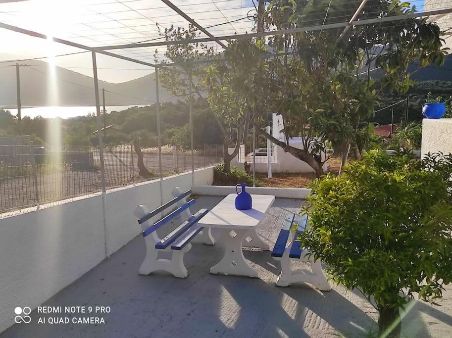 White Villa In Olive Trees And Seaview To Panagia Almiropótamos Exterior foto