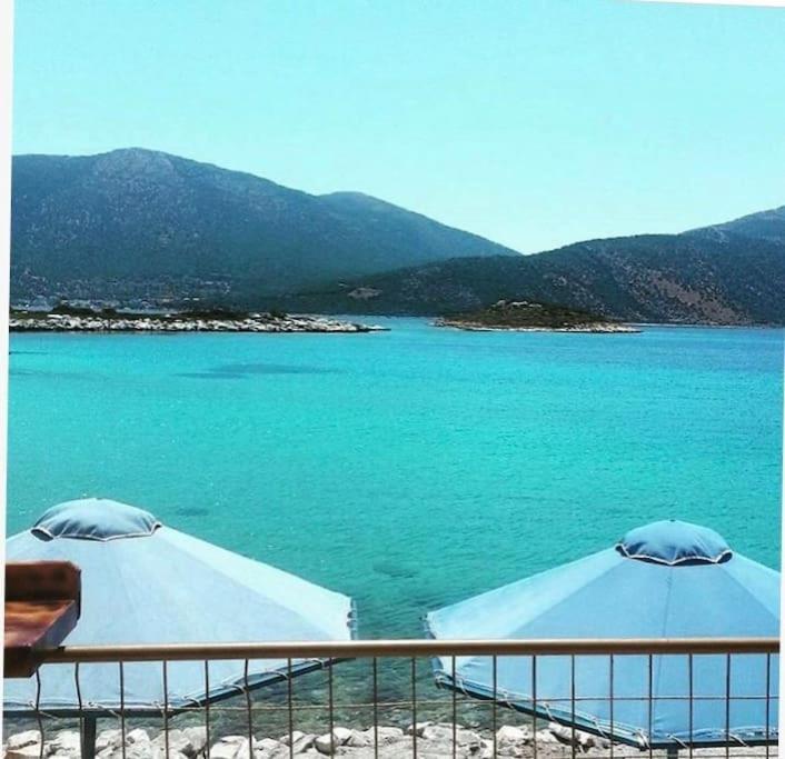 White Villa In Olive Trees And Seaview To Panagia Almiropótamos Exterior foto